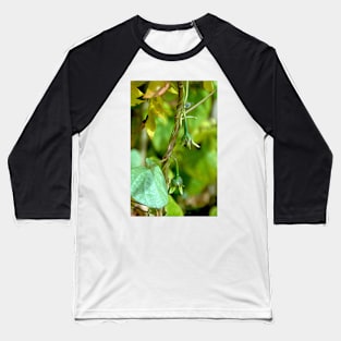 Budding Morning Glories Baseball T-Shirt